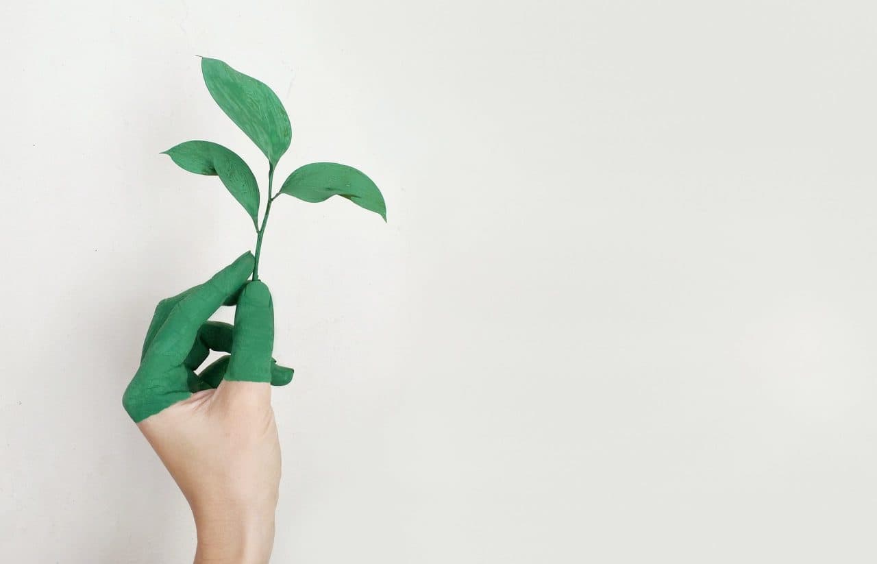Emisión de Bonos Verdes en Costa Rica es una oportunidad de inversión
