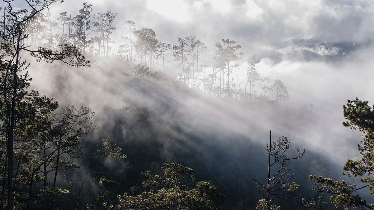 Pico Duarte, Jarabacoa