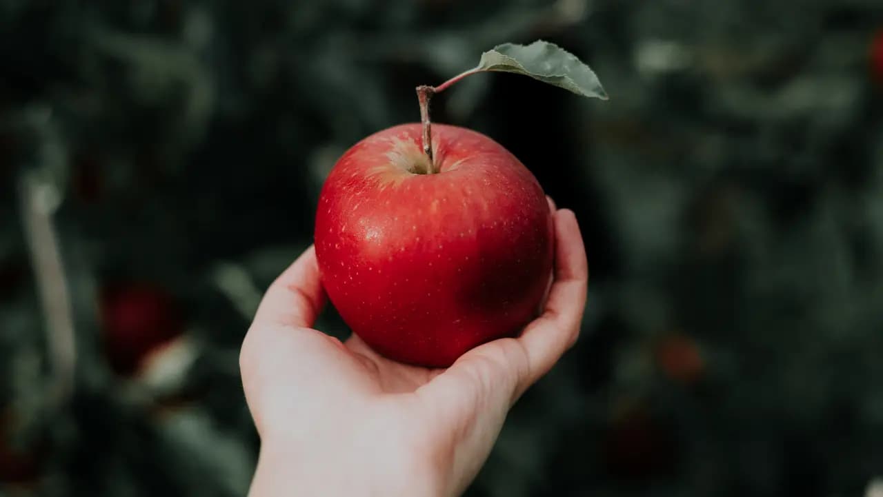Manzana