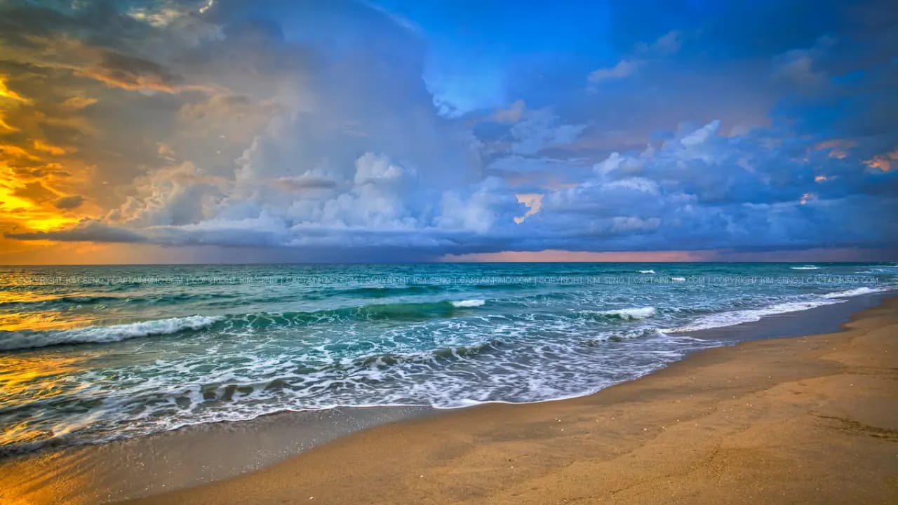 Palm Beach